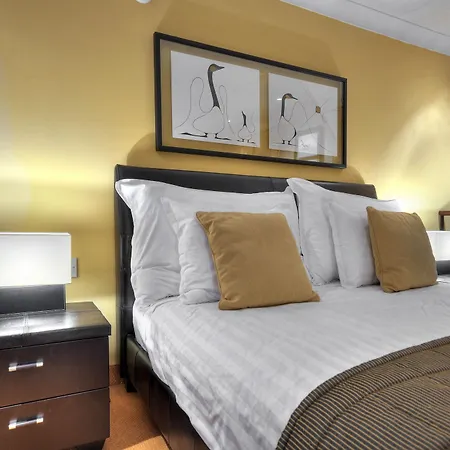 Ax Palazzo Capua 4*